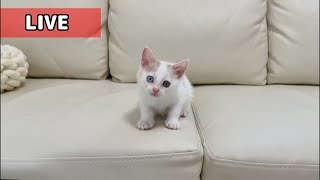 まもち 様 おまとめ♡ mqdefault.jpg