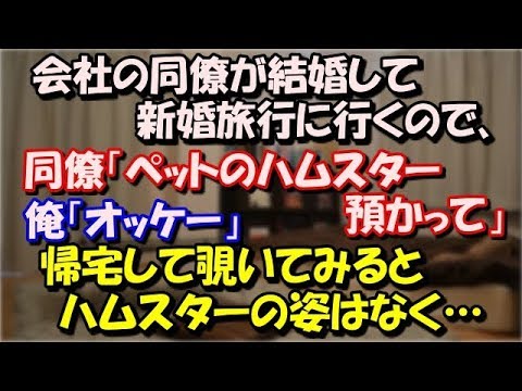 【なぜ？】 会社の同僚が結婚して新婚旅行に行くので、同僚「ペットのハムスター預かって」俺「オッケー」帰宅してカゴの中を覗いてみると、ハムスターの姿はなく… スカッと修羅場ラバンダ