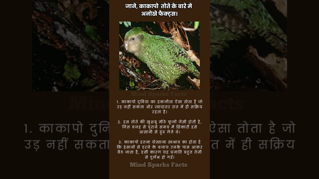 #facts #motivational #amazingfacts #trending #trendingshorts #shorts #shortvideo #shortsfeed