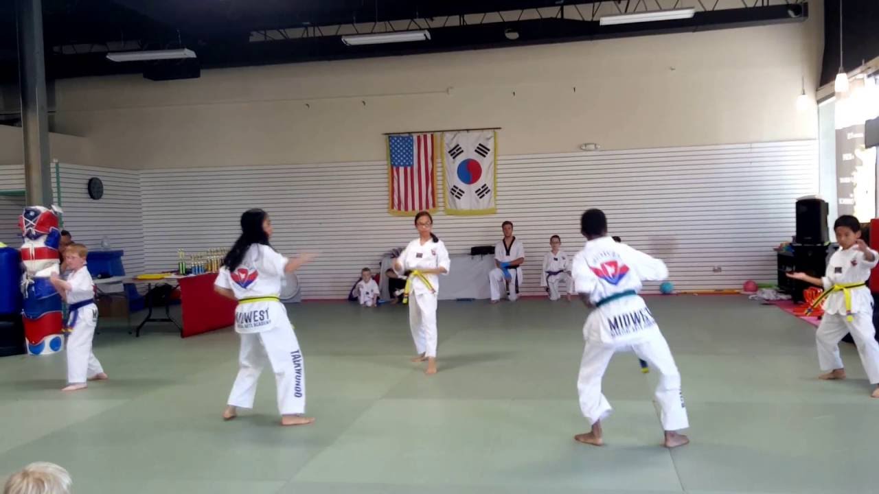 Midwest Martial Arts Academy Lockport Illinois Demo Performance Deadly Taekwondo Kids (Part 2