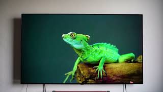 LG oled firmware Version 04 41 45