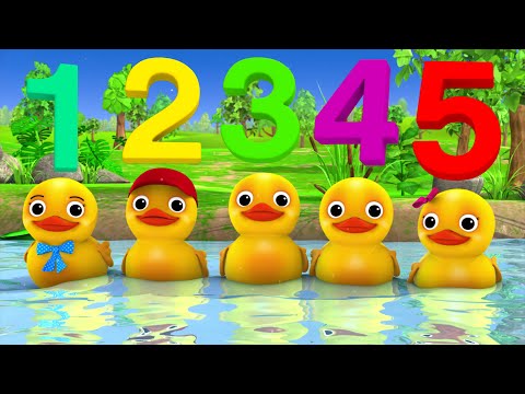 Five Little Ducks Counting Song 🦆 Nursery Rhymes & Kids Songs - ABCs and 123s