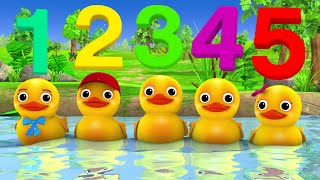 Five Little Ducks Counting Song 🦆 Nursery Rhymes & Kids Songs - ABCs and 123s