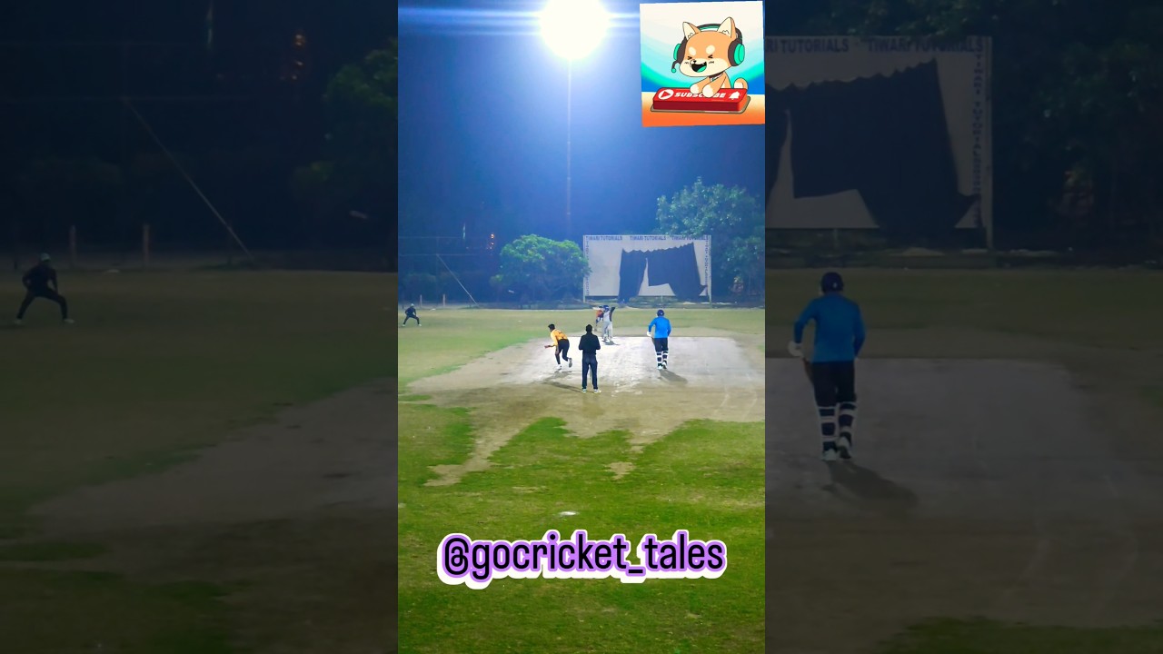 Point, Cover, Long-off: The Golden Triangle of Batting.