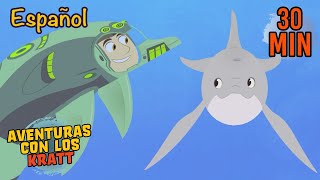 Idioma de Delfines | Animales del Mar y más | Aventuras con los Kratt | 9 Story Kids en Español