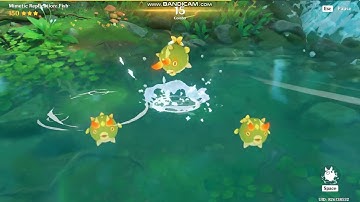 mimetic replication: Fish (genshin impact 3.6)