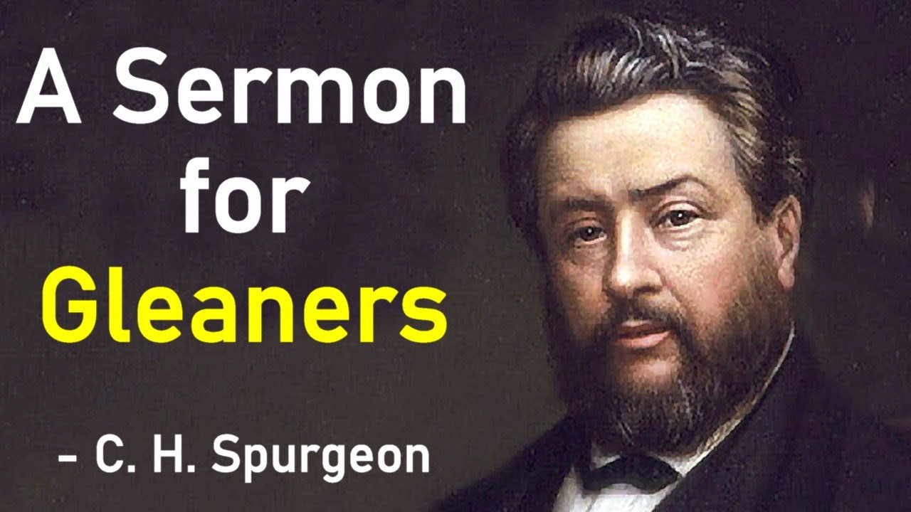 A Sermon for Gleaners - Charles Spurgeon Audio Sermons (Ruth 2:15 - 16 ...
