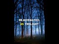 The Silent Forest Where Time Stands Still. #Shorts