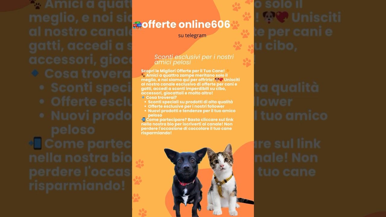 Offerte online 606 per i nostri amici pelosi  