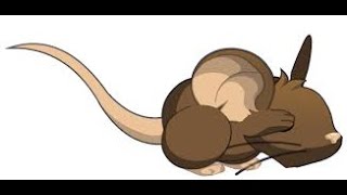 The Best Transformice death of all time