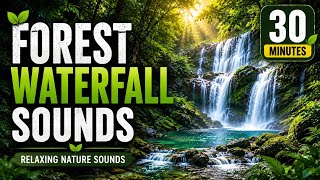 🌲 Forest Waterfall Sounds | Relaxing Nature Sounds for Sleep, Meditation &amp; Stress Relief