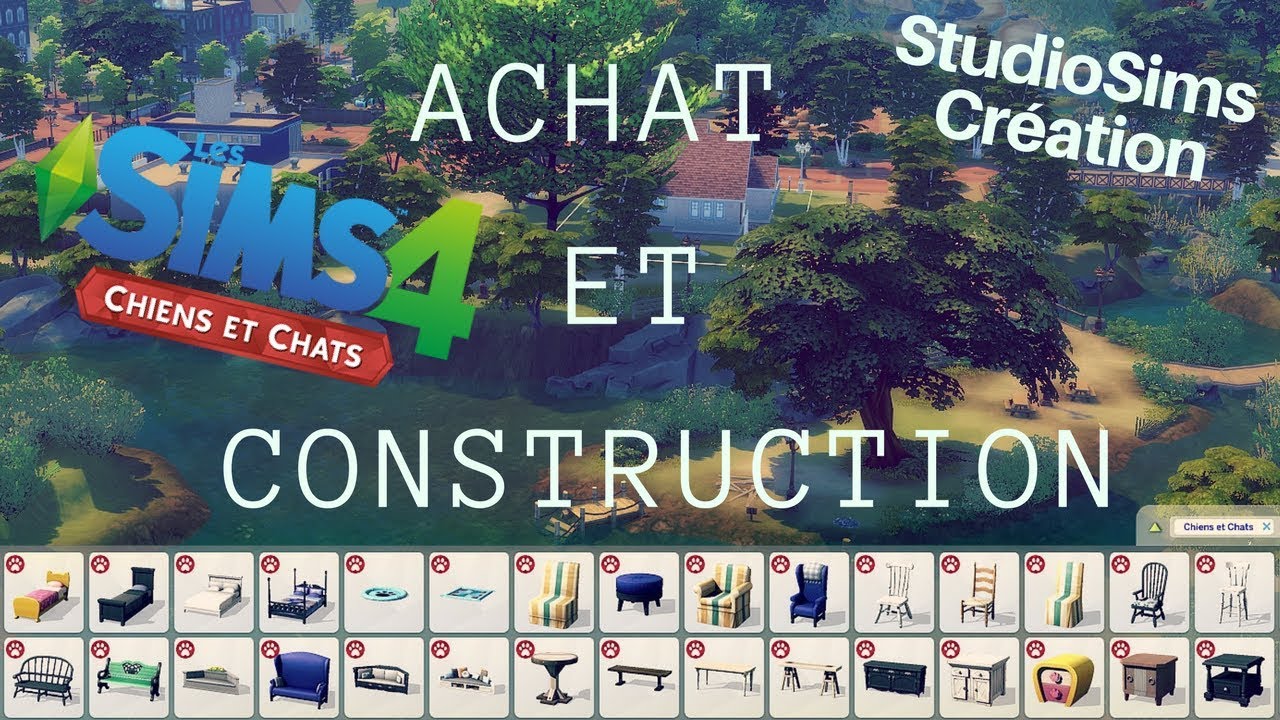 Chiens Et Chats Achat Et Construction Les Sims 4