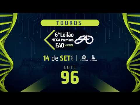 LOTE 96