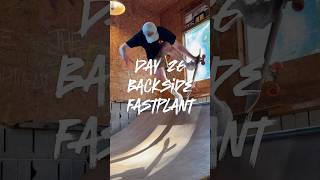 Mini Ramp Backside Fastplant #skateboarding