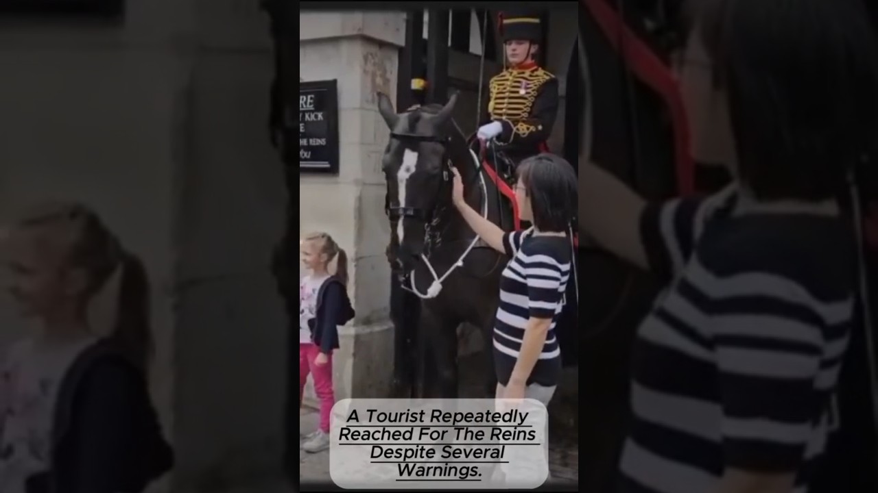 «Невероятно! 😨 Турист берёт бразды правления в свои руки — реакция охранника становится вирусной!»