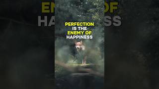 Perfection Is The Enemy Of Happiness