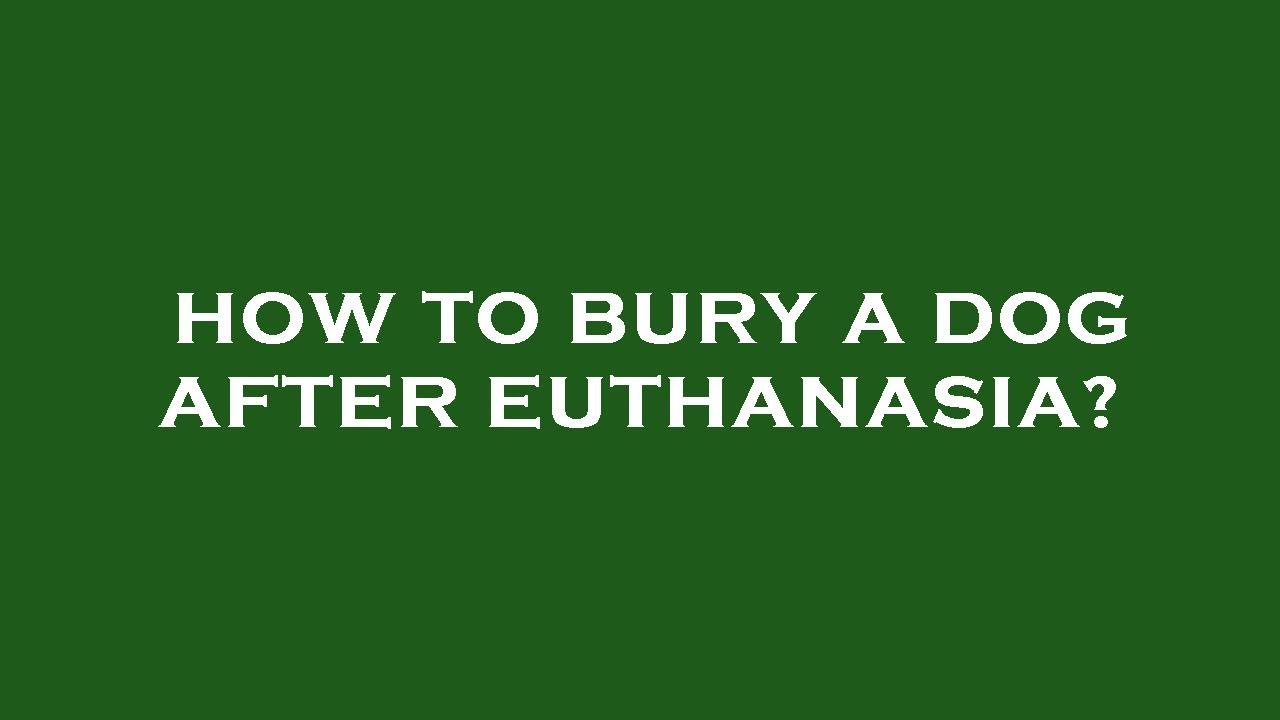 How to bury a dog after euthanasia? YouTube