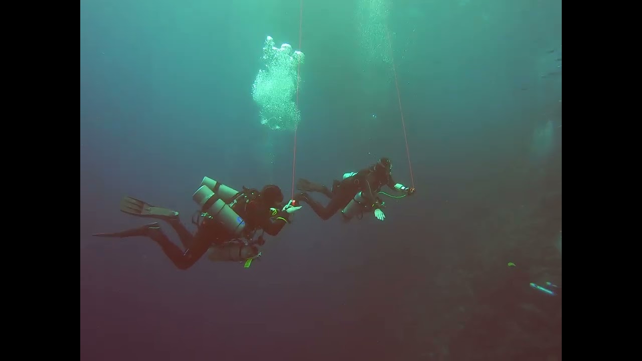 A second showcase of the Blue ocean dive trip to Egypt