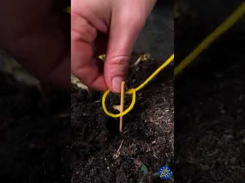 Сделайте систему автополива для растений из пластиковой бутылки 🌱♻️