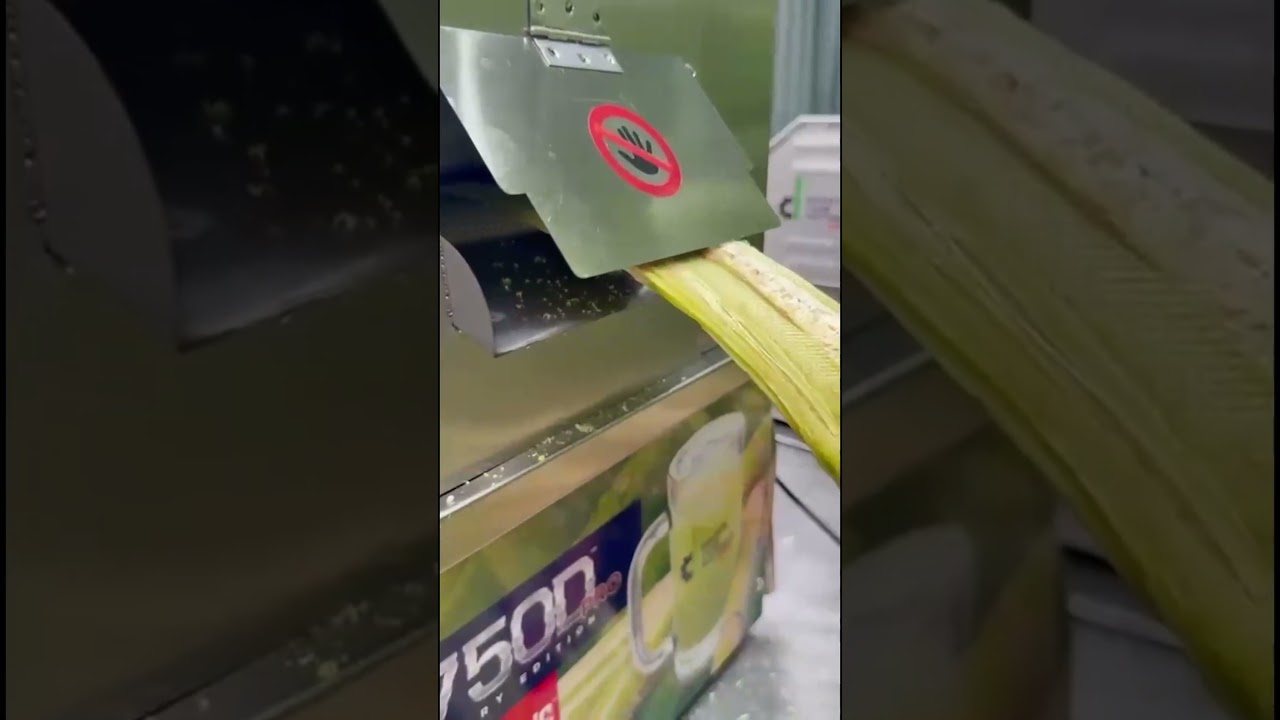 BETA TESTING the FIRST Top Loading 3 Roller Sugarcane Machine | NEW MODEL #davidscanemachines #cane