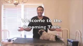 The Grooming Table: Cleaning & Trimming Ears
