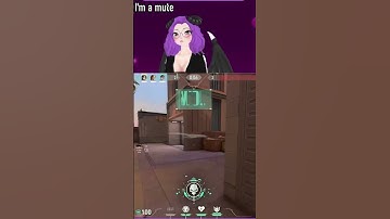 No scope | #lixisspie on #Twitch