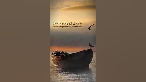(إنّ الأبرار لفي نعيم) حالات واتس أب قرأن// القارئ أحمد خضر
