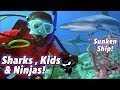 We swam with Sharks & found a Sunken Ship! (Bahamas) III Ninja Kidz TV