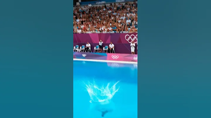 Video 11904101: abyssinian cat