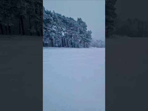 Winterzauber 😍 #Schnee #winterwelt #schneechaos #lovenature