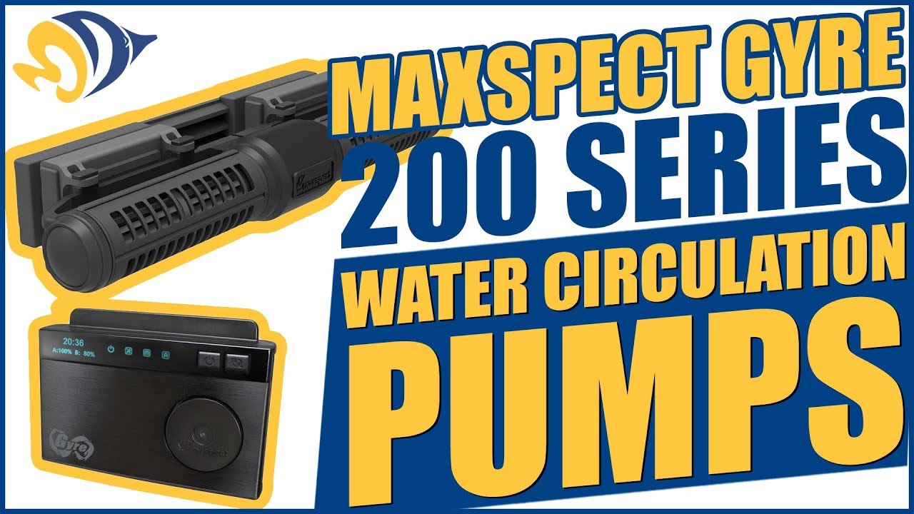 Maxspect Gyre 200 Pompe 60W M-XFP250 pour aquarium 200 ~ 3000 Liter