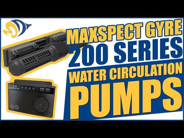 Maxspect Gyre 200 Pompe 60W M-XFP250 pour aquarium 200 ~ 3000 Liter