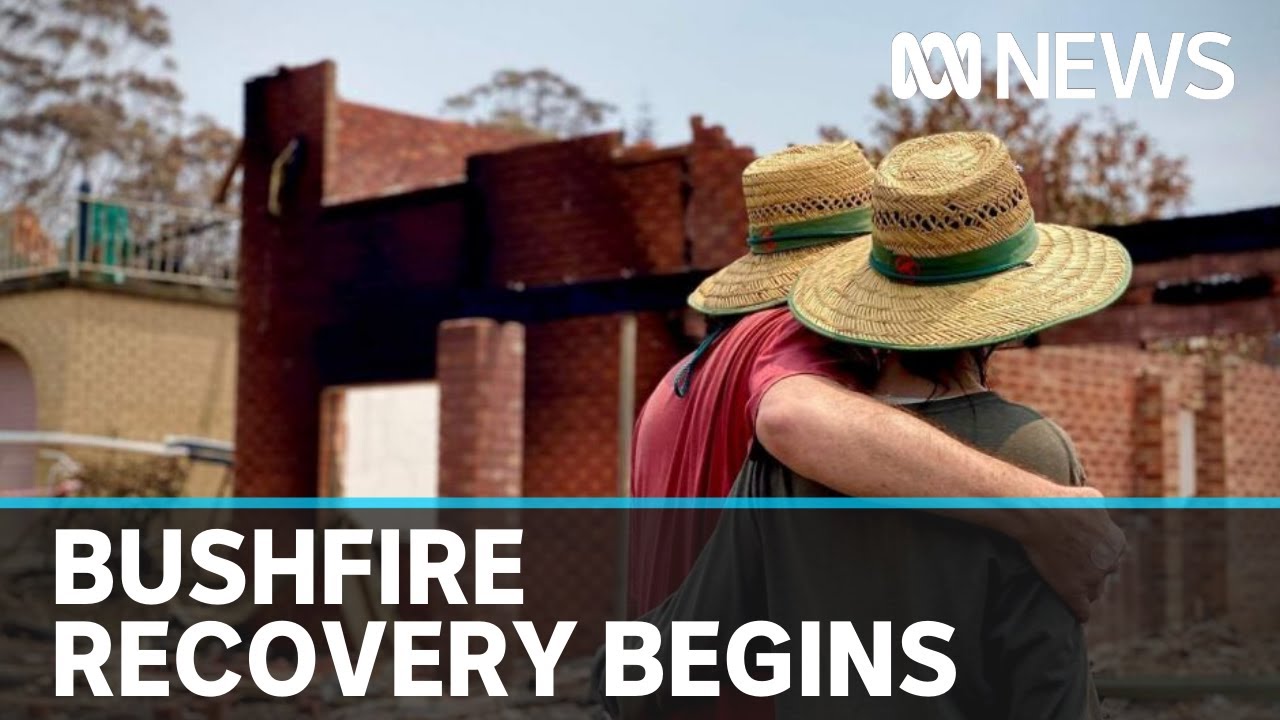 Bushfire-ravaged Lake Conjola finally begins clean-up | ABC News