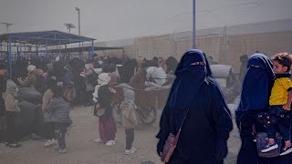 838 Penaberên Li Kampa Holê Ber Bi Iraqê Ve Hatin Şandin