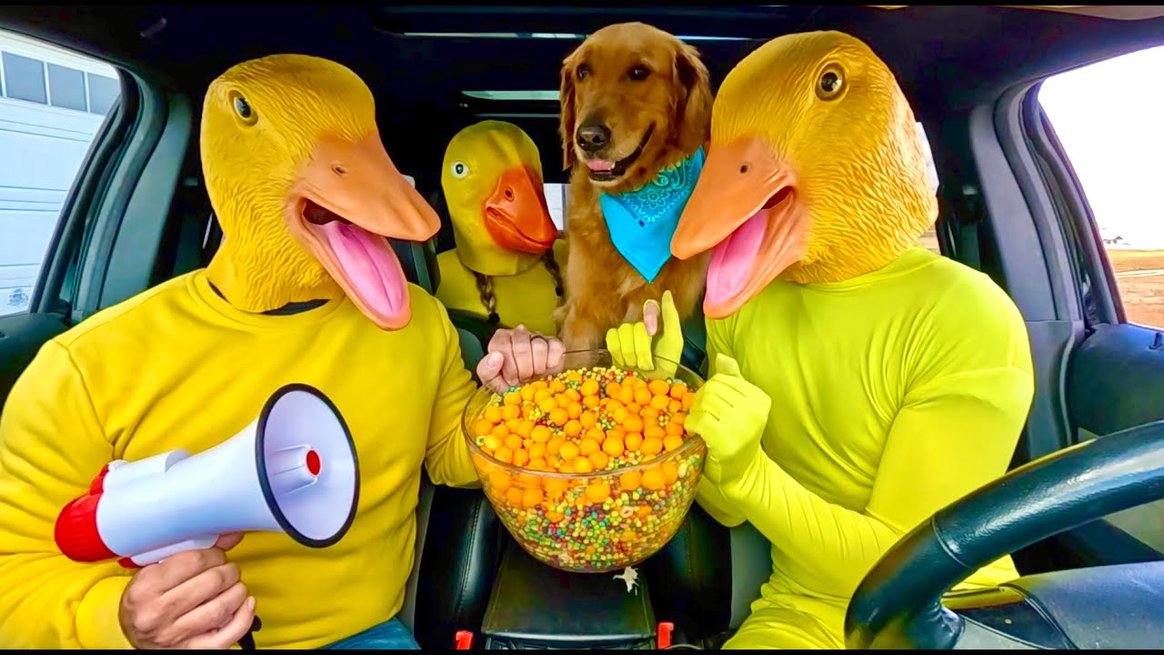 Резиновая уточка удивляет щенка и лягушку погоней на машине