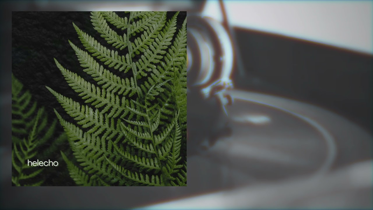 Watch Helecho - lofi para plantas - Ruth de las Plantas on YouTube Watch Helecho - lofi para plantas - Ruth de las Plantas on YouTube
