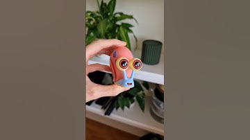 Gary from Spongebob🐌