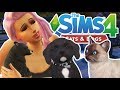 First Impressions & Making My Pets | The Sims 4 YouTuber Pets | Episode 1