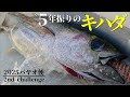 真夏の伊勢志摩キハダキャスティング。憧れの魚 再び。【パヤオ便 2ndチャレンジ前編】