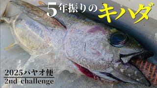 真夏の伊勢志摩キハダキャスティング。憧れの魚 再び。【パヤオ便 2ndチャレンジ前編】