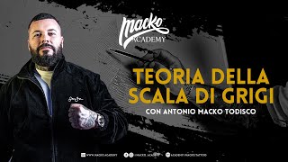 𝗧𝗮𝘁𝘁𝗼𝗼 𝗕𝗹𝗮𝗰𝗸 ‘𝗻’ 𝗚𝗿𝗲𝘆 𝗲 𝗗𝗜𝗦𝗘𝗚𝗡𝗢: 𝗰𝗼𝗺𝗲 𝗰𝗿𝗲𝗮𝗿𝗲 𝗩𝗢𝗟𝗨𝗠𝗘 𝗰𝗼𝗻 𝗹𝘂𝗰𝗶 𝗲 𝗼𝗺𝗯𝗿𝗲 screenshot 5