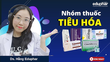 Nhóm thuốc tiêu hóa thông dụng tại nhà thuốc - Ds.Hằng Eduphar
