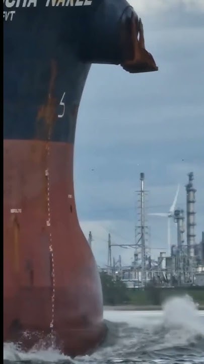 Why Do Ships Have Bulbous Bows science sciencefacts YouTube why-do-ships-have-bulbous-bows-science-sciencefacts-youtube