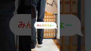 ラストJUMP｜猫4匹 12/28🐾