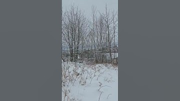 #سورة البقرة #اللهم اجعل القرآن الكريم ربيع قلوبنا ونور صدورنا