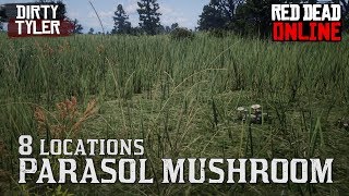 Parasol Online Locations for Daily Challenges Red Dead Online -
