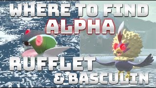 How to get ALPHA HISUIAN RUFFLET/BRAVIARY & ALPHA BASCULIN/BASCULEGION in Pokémon Legends Arceus