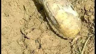 Locating And Rescue Of Trapped Miners