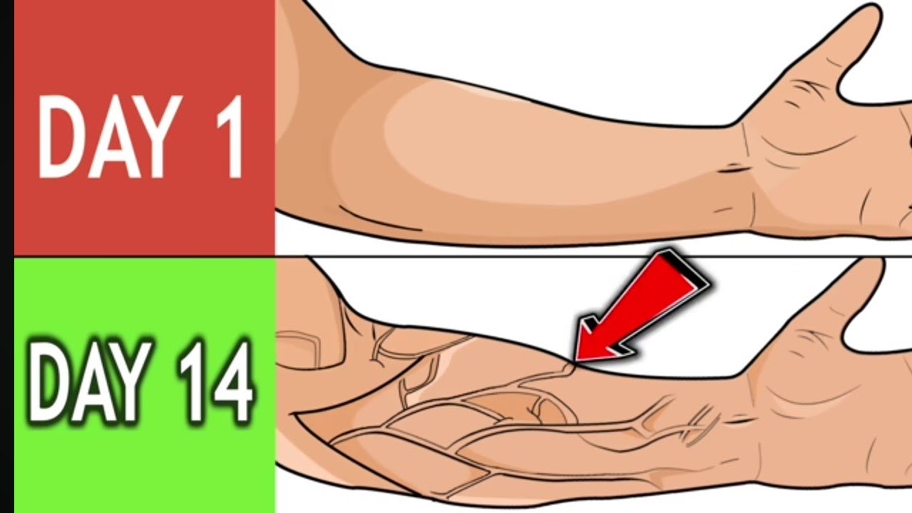 5 forearm exercise at home no equipment 