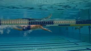 100Fr 水中動画